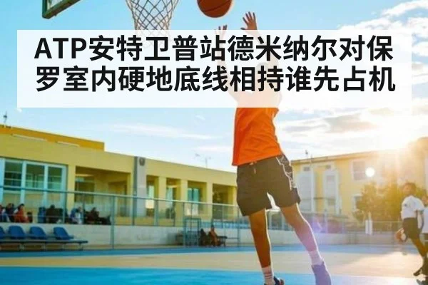 ATP安特卫普站德米纳尔对保罗室内硬地底线相持谁先占机 - Xingkong yule