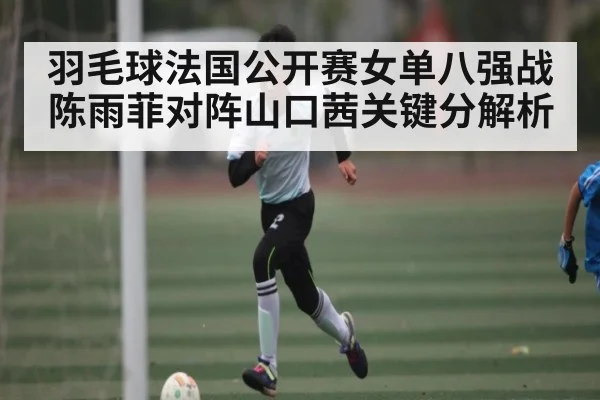 羽毛球法国公开赛女单八强战陈雨菲对阵山口茜关键分解析(Xingkong yule)